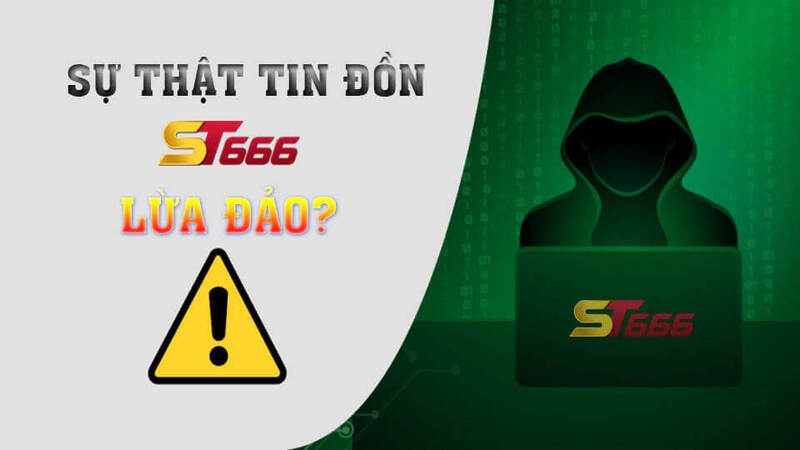 ST666 Lừa Đảo Là Tin Đồn? Sự Thật Được Phơi Bày